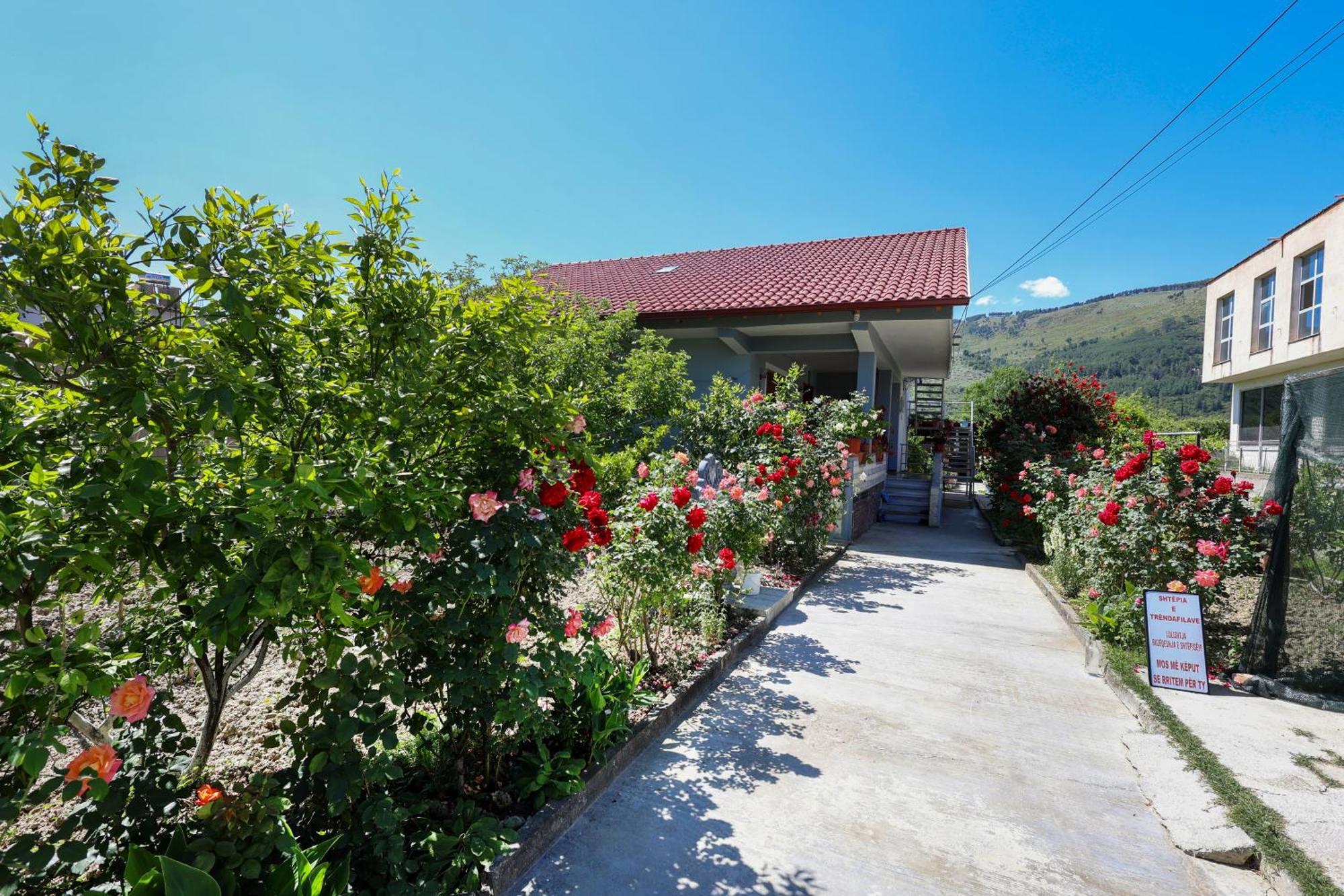 Vila Samuela Cozy Retreat Berat Exteriér fotografie