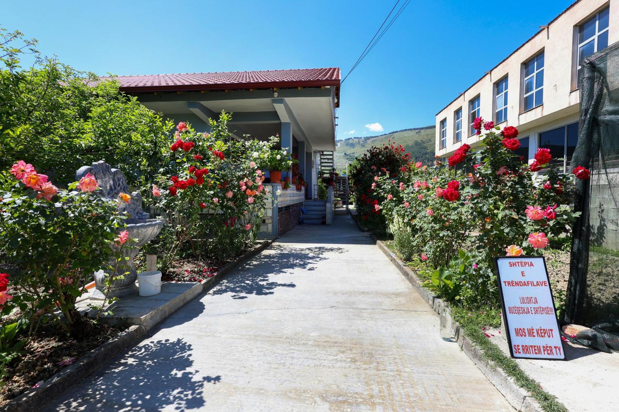 Vila Samuela Cozy Retreat Berat Exteriér fotografie